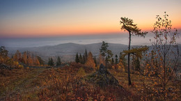 Early morning / ***