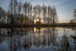 Evening / ***