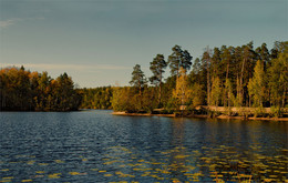 "The crimson and gold-clad forests ..." / ***
