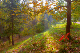 Signs of autumn. / ***