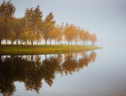 Misty autumn morning / ***