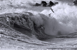 wave / ***