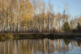 Autumn reflections / ***