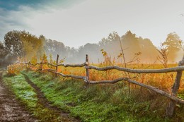 Autumn is near / 18-55