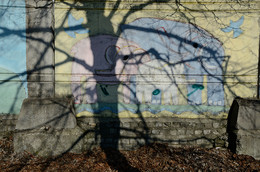 Shadow on the wall / ***