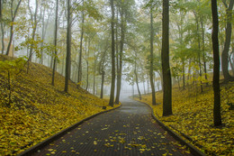 Autumn Park / ***