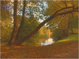 autumn Park / ***