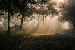 September morning / ***