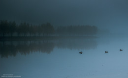 Land of nod / ***