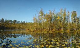 Indian summer in September / ***