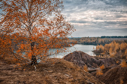 Gone are the sunny days ... / ***