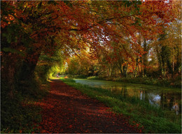 ... autumn trails ... / ***