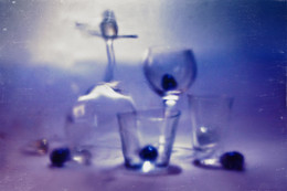 Lady with a dog / ***