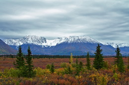 Alaskan Range gony / ***