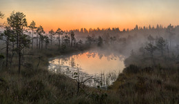 Lake at dawn. / ***