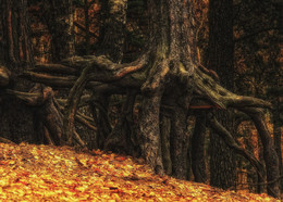 There on unknown paths ... / ***