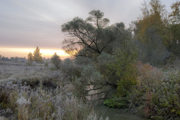 Hoarfrost, fog ... / ***