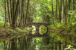 Bridge in the park / ***