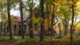 In the old park Autumn lost ... / ***