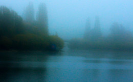 Foggy morning / ***