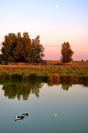 rustic evening / ***