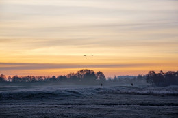 Frosty Dawn / ***