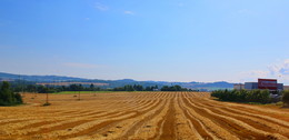 Arable land. / ***