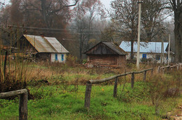 Polesskii wilderness ... / ***