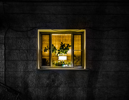 The light in your window / ...