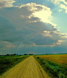 road in a field / ***