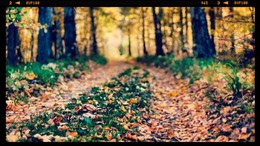 Autumn Marathon / ***