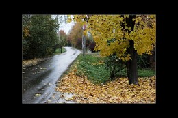 Autumn Marathon / ***