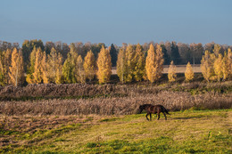 Autumn Marathon / ***