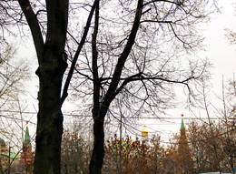 Autumn Marathon / ***