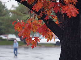 Autumn Marathon / ***