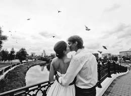 Love and pigeons.. / ***