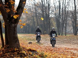 Autumn Marathon / ***