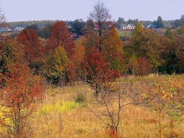 Autumn on the hillside / ***