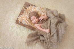 photographer of newborns / ***
