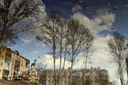 Spring reflection / ---------------