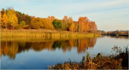 bright autumn / ***