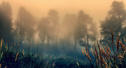 Misty dreams Elbrus / ***