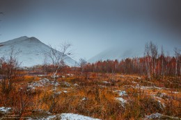 Belarusian Mountain (continued) / ***