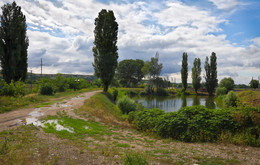 Rural pond. / ***