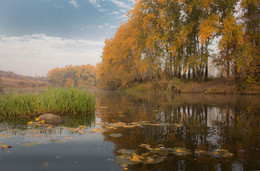 Golden Autumn Gipanisa. / ***