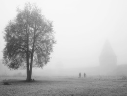 Walk in the fog / ***