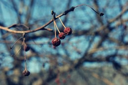 The meaning of life - to leave behind a life / ***