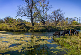 At the river ... / ***