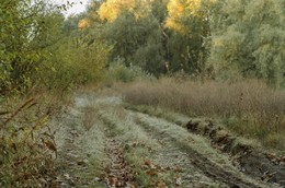 Morning in October / ***