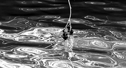 Winter foreplay ... / ***